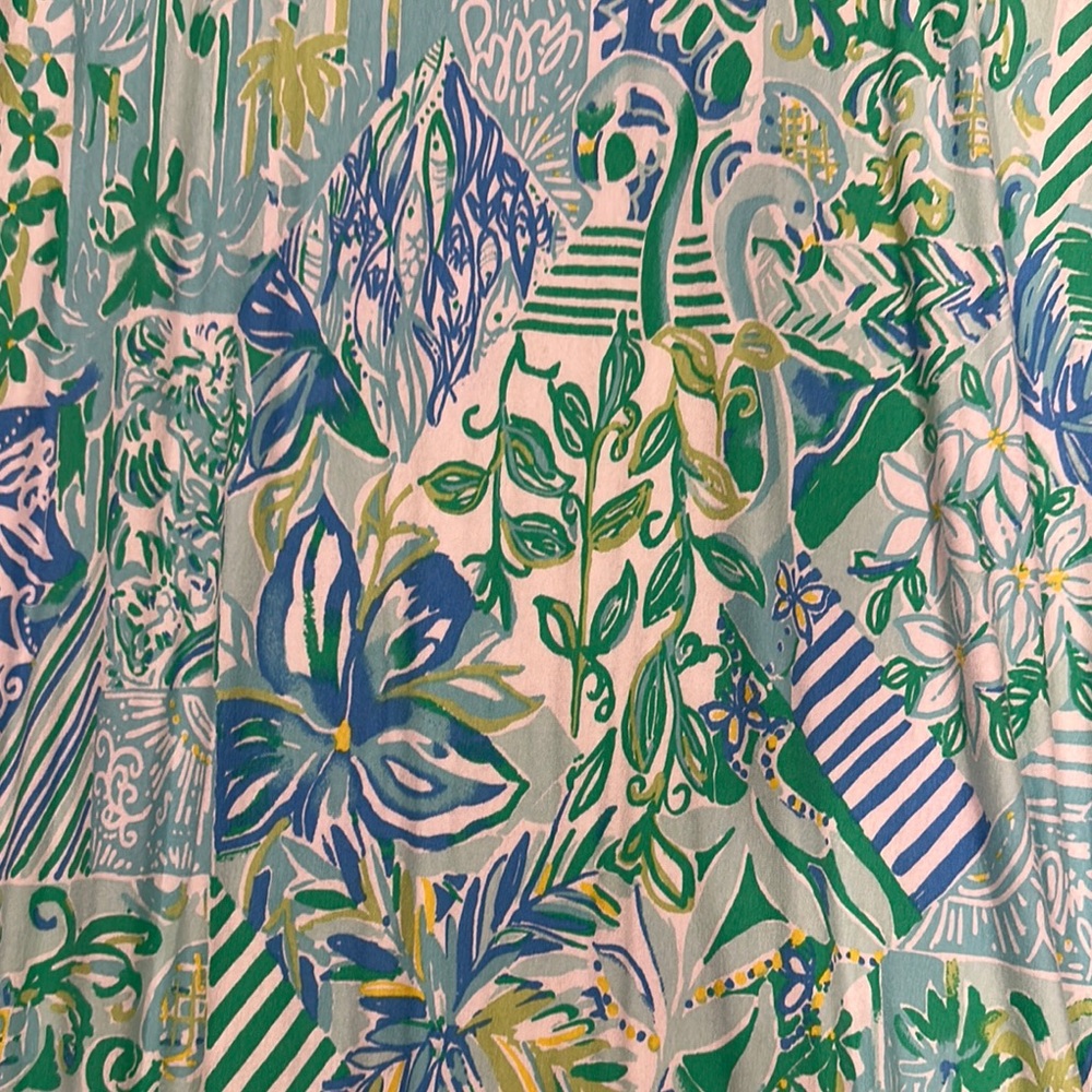 Lilly Pulitzer Green and Blue Maxi Dress